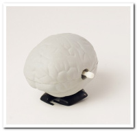 MFD-007 FIDO-DIDO Brain